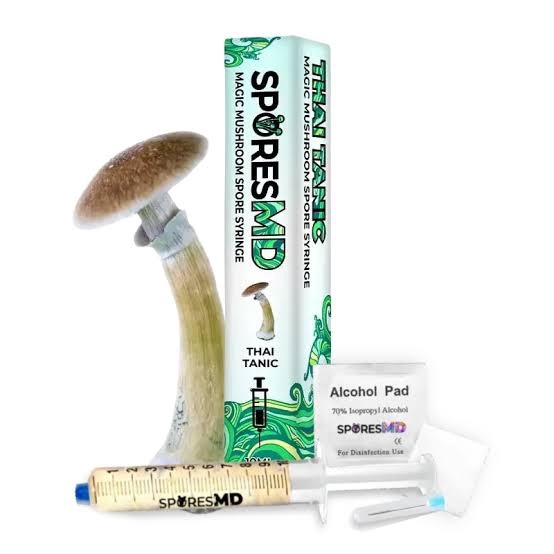 SPORES MD MAGIC MUSHROOM SPORE SYRINGE / THAI TANIC